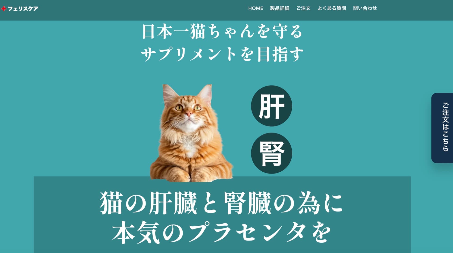 CELLCELLAR FELISCAREプラス